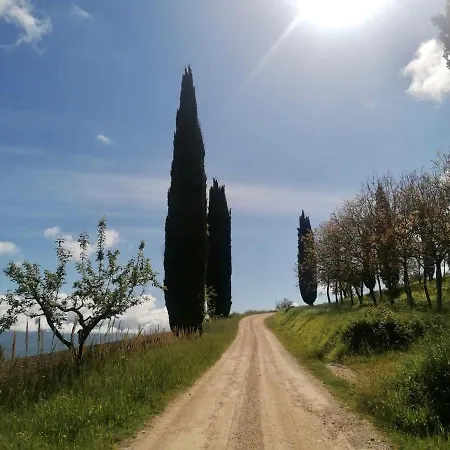 Il Corbezzolo Guest house
