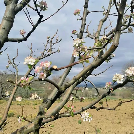 Il Corbezzolo * Bettona