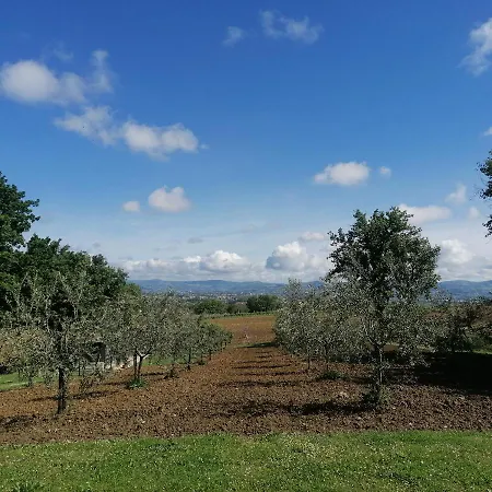Il Corbezzolo